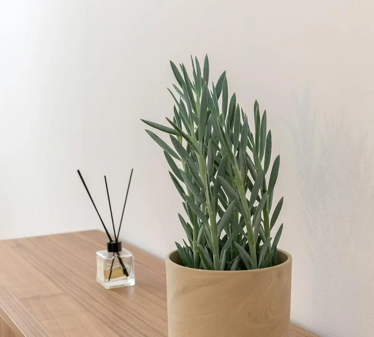 Suite Palisades - Check In H24 - Wifi Lyon Apartman